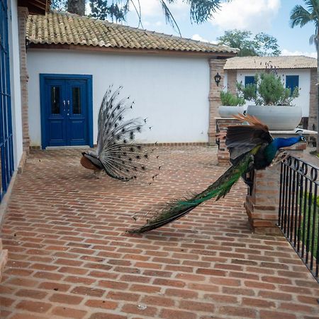 Hotel Fazenda Sao Silvano Morungaba Eksteriør billede